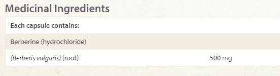 WellBetX Berberine 500 mg - 60 капсули - Feel You