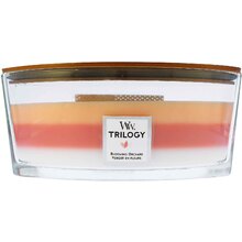 WoodWick - Blooming Orchard Trilogy Ship ( Blooming Orchard ) - 453.6g - Feel You