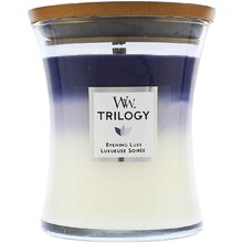 WoodWick - Evening Luxe Trilogy Vase - 275.0g - Feel You