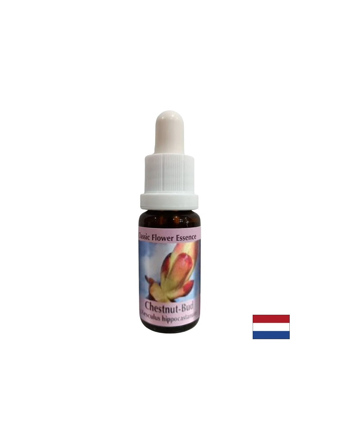 Removes energy blockages - Chestnut Bud Essence No. 7, drops 15 ml