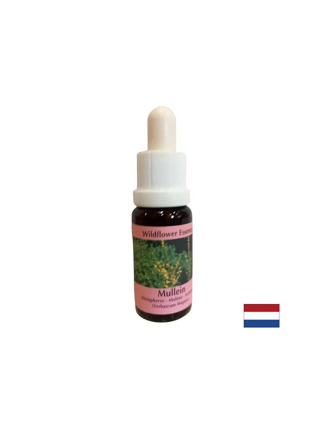 Supports teamwork and creativity - Lopen Essence No. 29, drops 15 ml