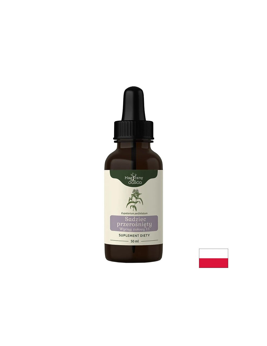 Грижа за имунната система, костите и мускулите - Дъбравник, тинктура 50 ml