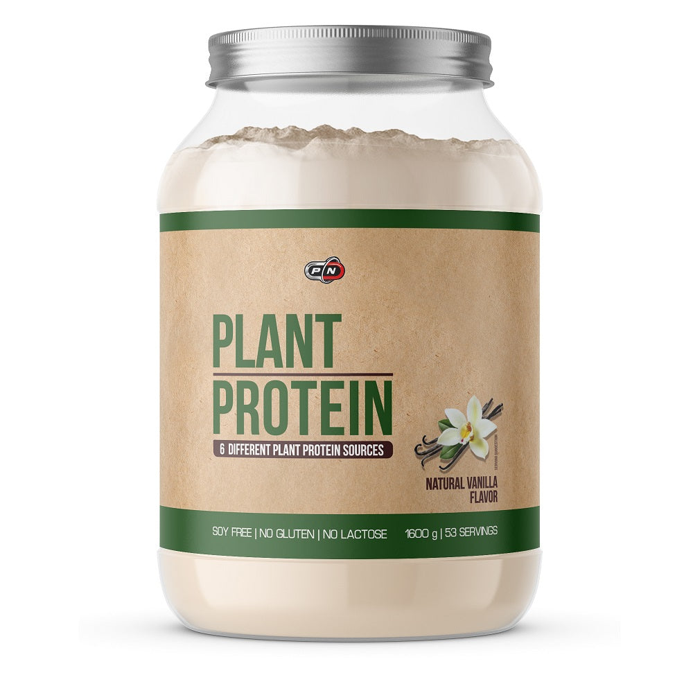 PLANT PROTEIN - 1620 g