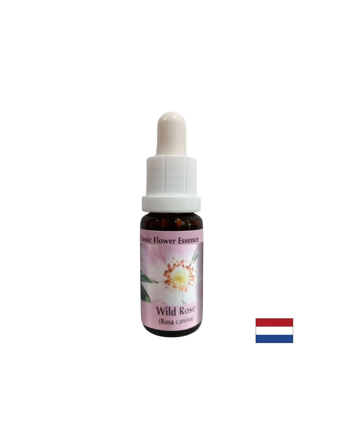 Increases activity and motivation - Rosehip Essence No. 37, drops 15 ml