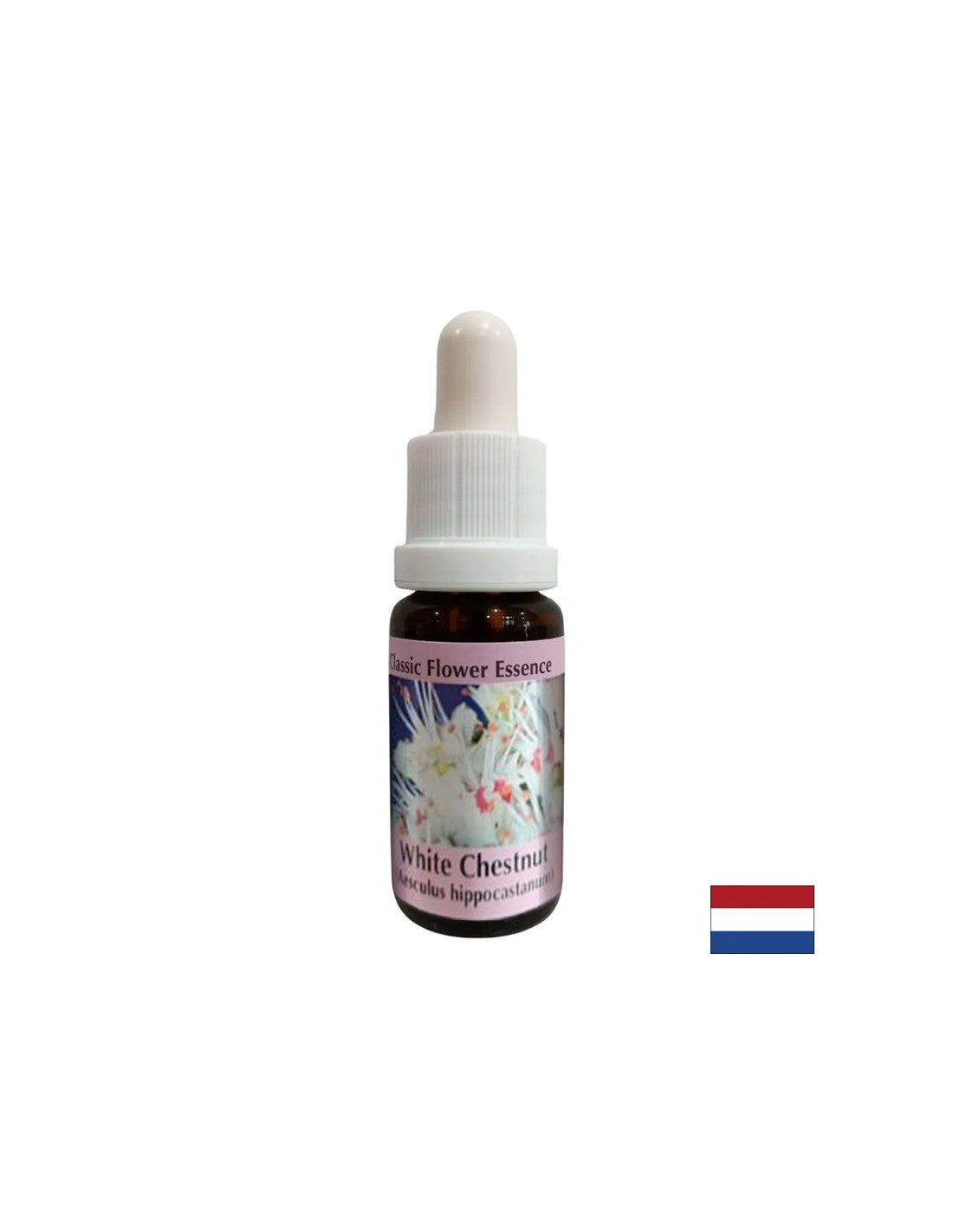 For intrusive thoughts - Horse Chestnut Essence No. 35, drops 15 ml