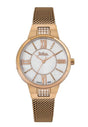 LEE COOPER LC06646.420 — 1