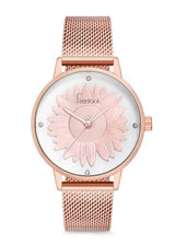 FREELOOK F.1.1131.01 — 1