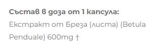 Екстракт от Бреза 600 mg - 60 капсули - Feel You