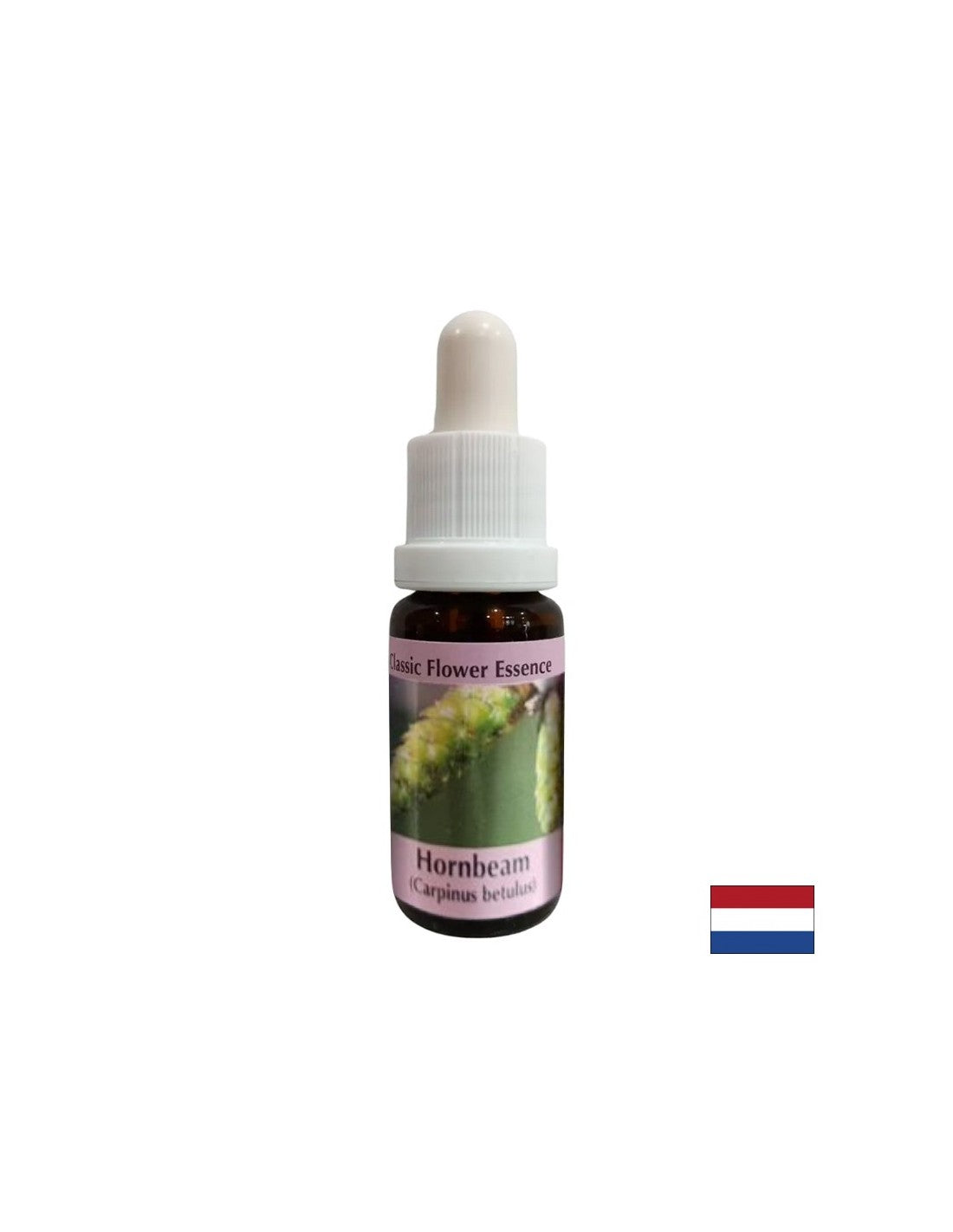 За повече енергия и мотивация - Есенция Габър № 17, капки 15 ml